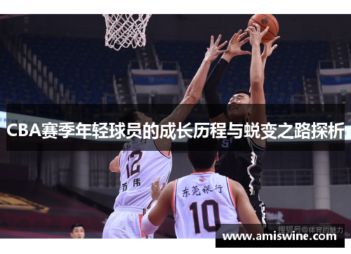 CBA赛季年轻球员的成长历程与蜕变之路探析