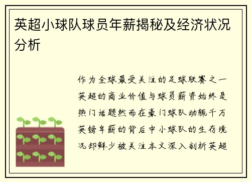 英超小球队球员年薪揭秘及经济状况分析